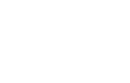 MSI LAND